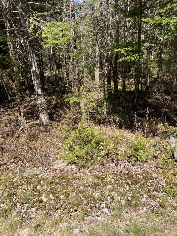 Machiasport, ME 04655,Lot 94 Yoho Head RD