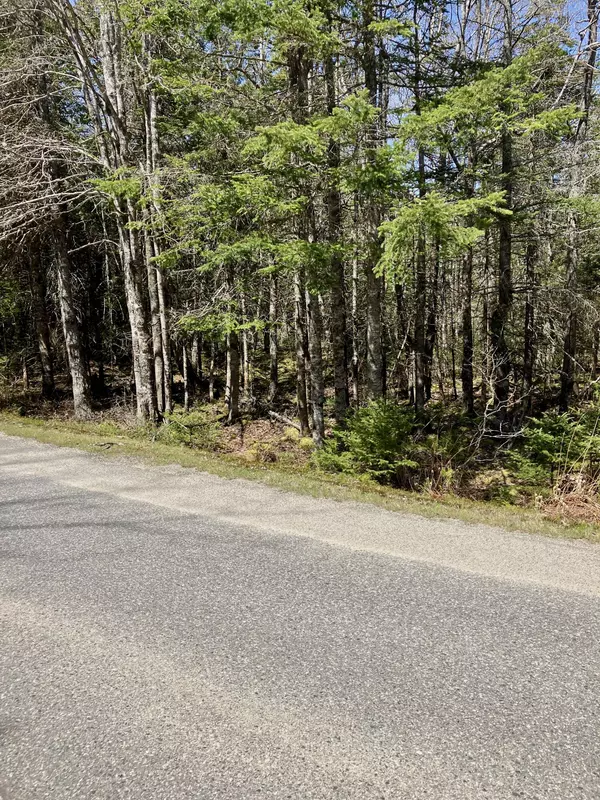 Machiasport, ME 04655,Lot 94 Yoho Head RD