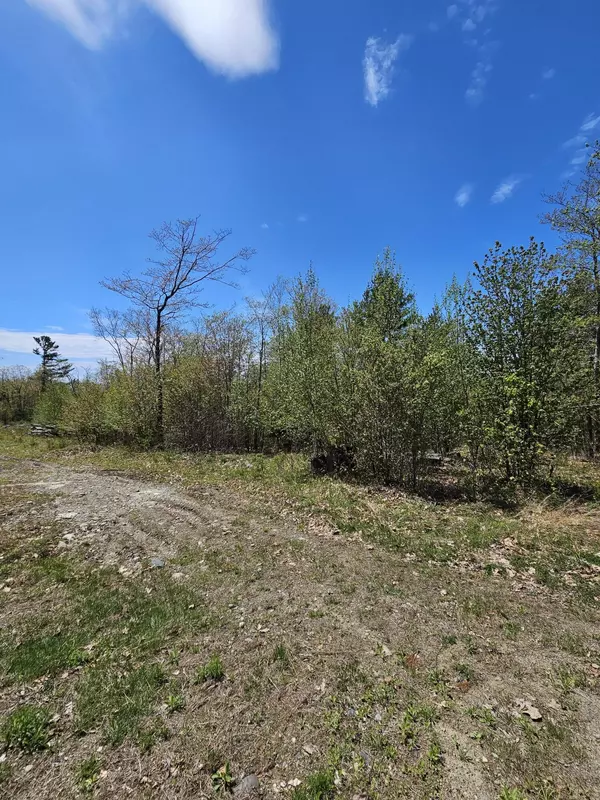 Orrington, ME 04474,Lot 47 Betts RD