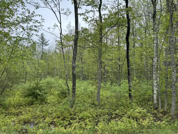 Winthrop, ME 04364,M10, L14I Sturtevant Hill RD