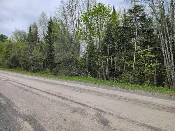 Amity, ME 04471,22.6 Ac Estabrook RD