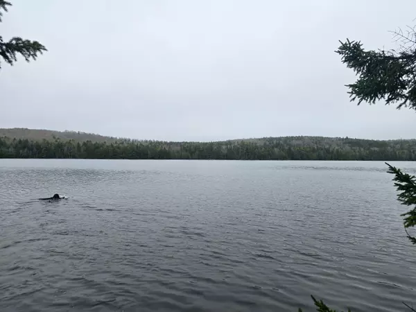 Lot M Howard Lake RD, Robbinston, ME 04671