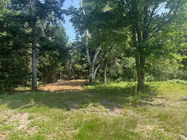 LOT #5 Puffins Lane, Machiasport, ME 04655