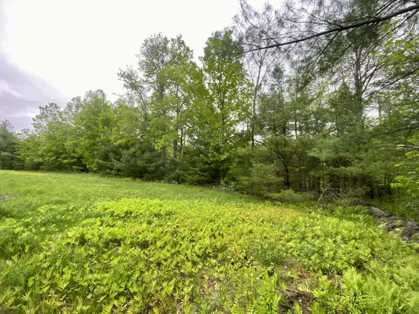 Limerick, ME 04048,43-1a Doles Ridge Road