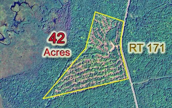 Drew Plt, ME 04497,Lot 2 RT 171 RD