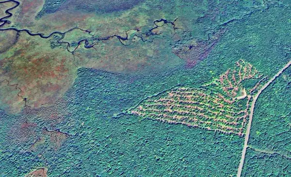 Drew Plt, ME 04497,Lot 2 RT 171 RD