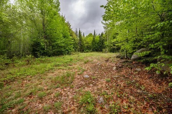 Medford, ME 04463,Lot I Partridge LN