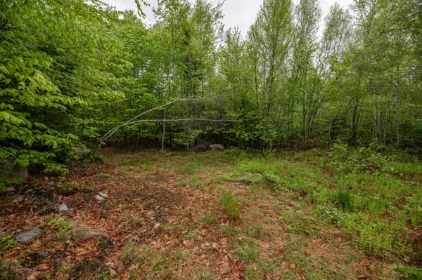 Medford, ME 04463,Lot I Partridge LN