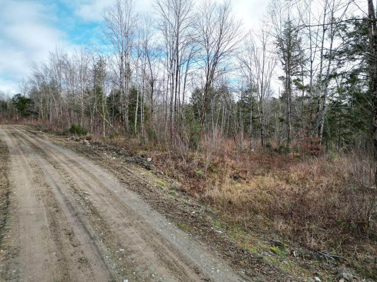 Springfield, ME 04487,Lot 14 Ghost RD