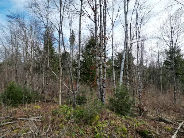 Springfield, ME 04487,Lot 14 Ghost RD