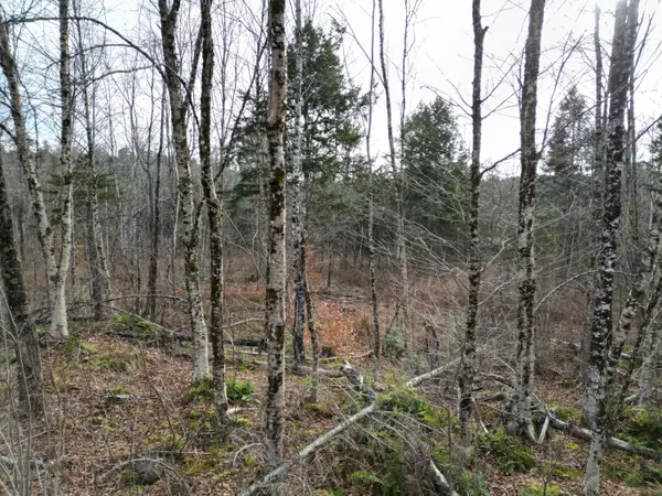 Springfield, ME 04487,Lot 14 Ghost RD