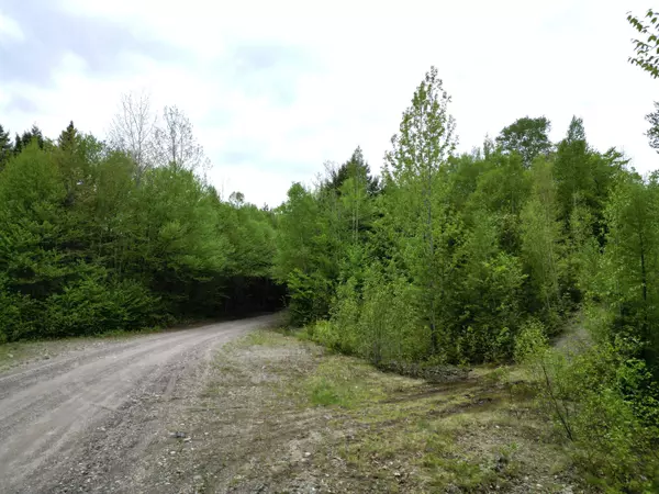 Lakeville, ME 04487,Lot 8-2 Dill Valley RD