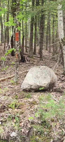 Map 42-272 King Hill RD, Limerick, ME 04048