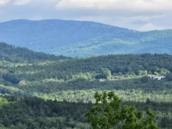 Buckfield, ME 04220,40.9 Streaked Mountain RD