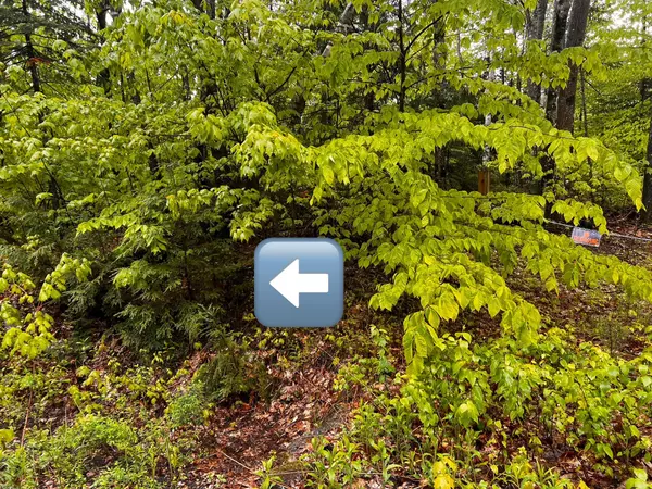 Wilton, ME 04294,Lot 001-B Pond RD