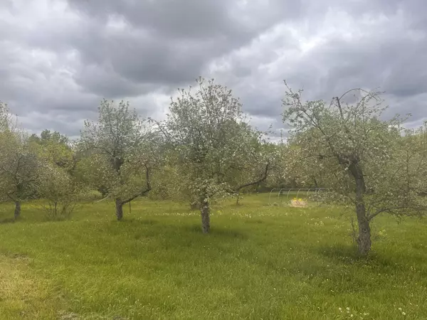 Buckfield, ME 04220,187 Purkis RD