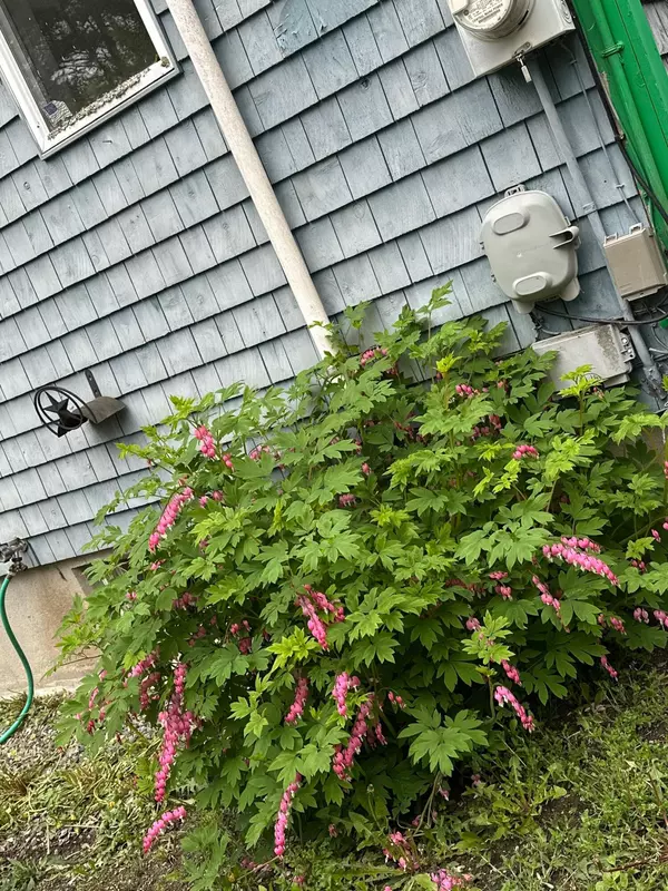 Waldoboro, ME 04572,491 W Main ST