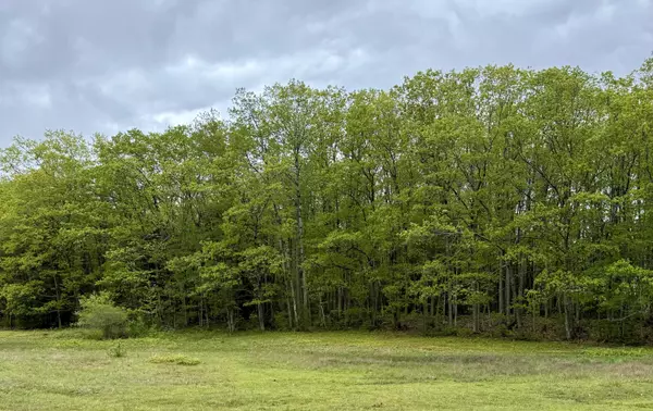 Kennebunkport, ME 04046,0 Goose Rocks RD