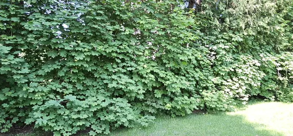 0 Mutton Hill RD, Oakland, ME 04963