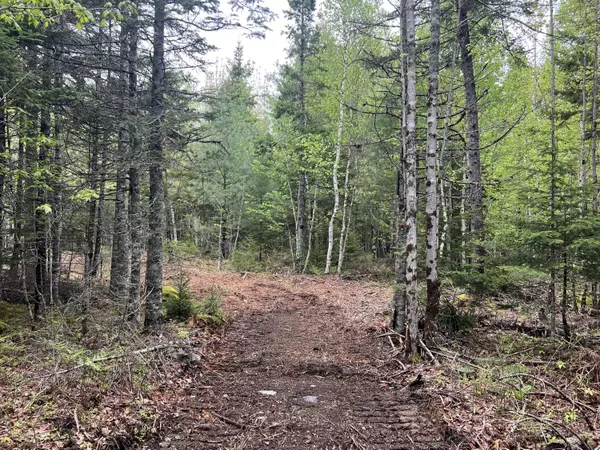 Waltham, ME 04605,4 Taylor Woods RD