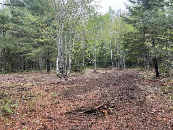 Waltham, ME 04605,4 Taylor Woods RD