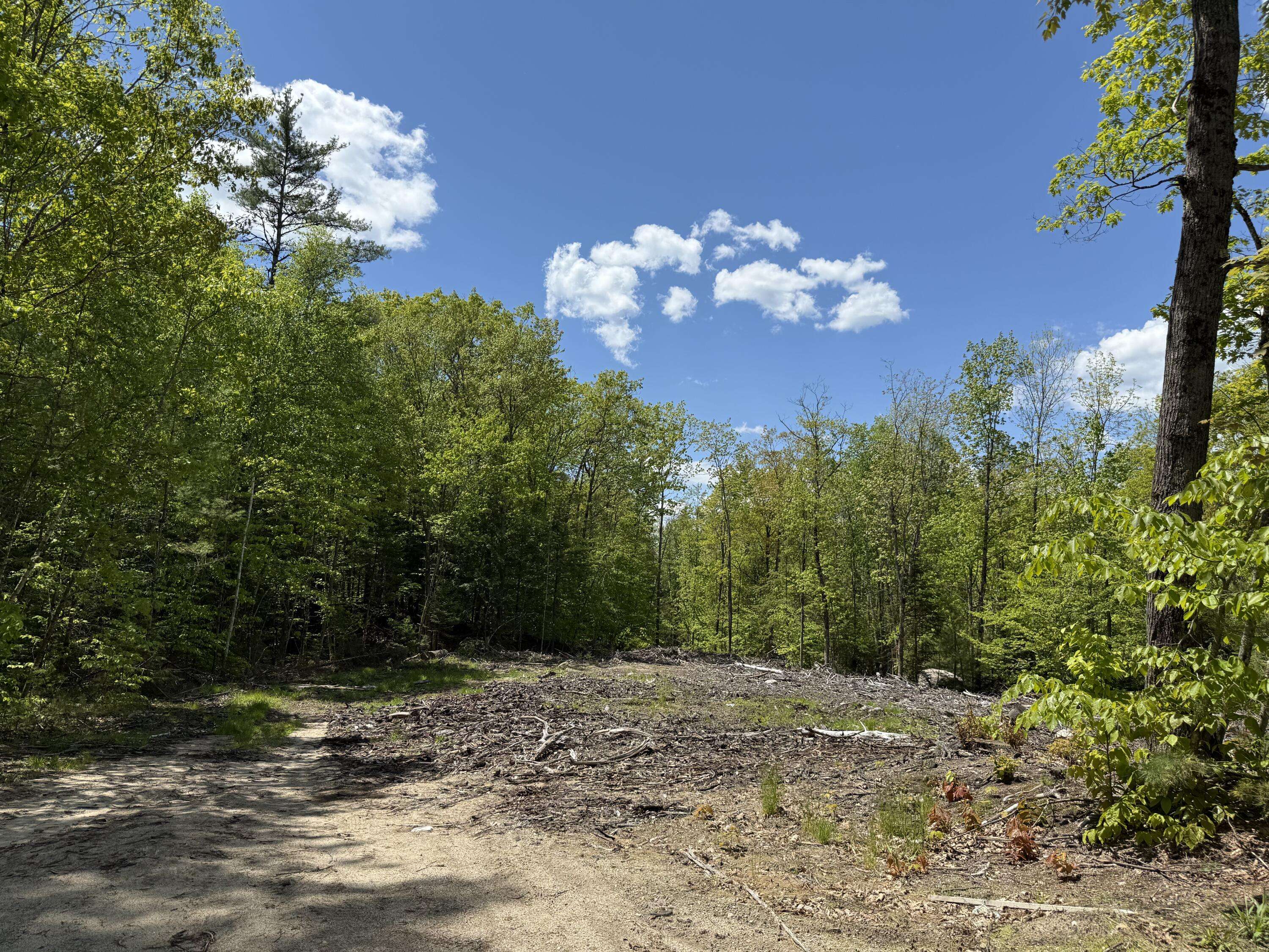 Lot 1 Naples RD, Harrison, ME 04040