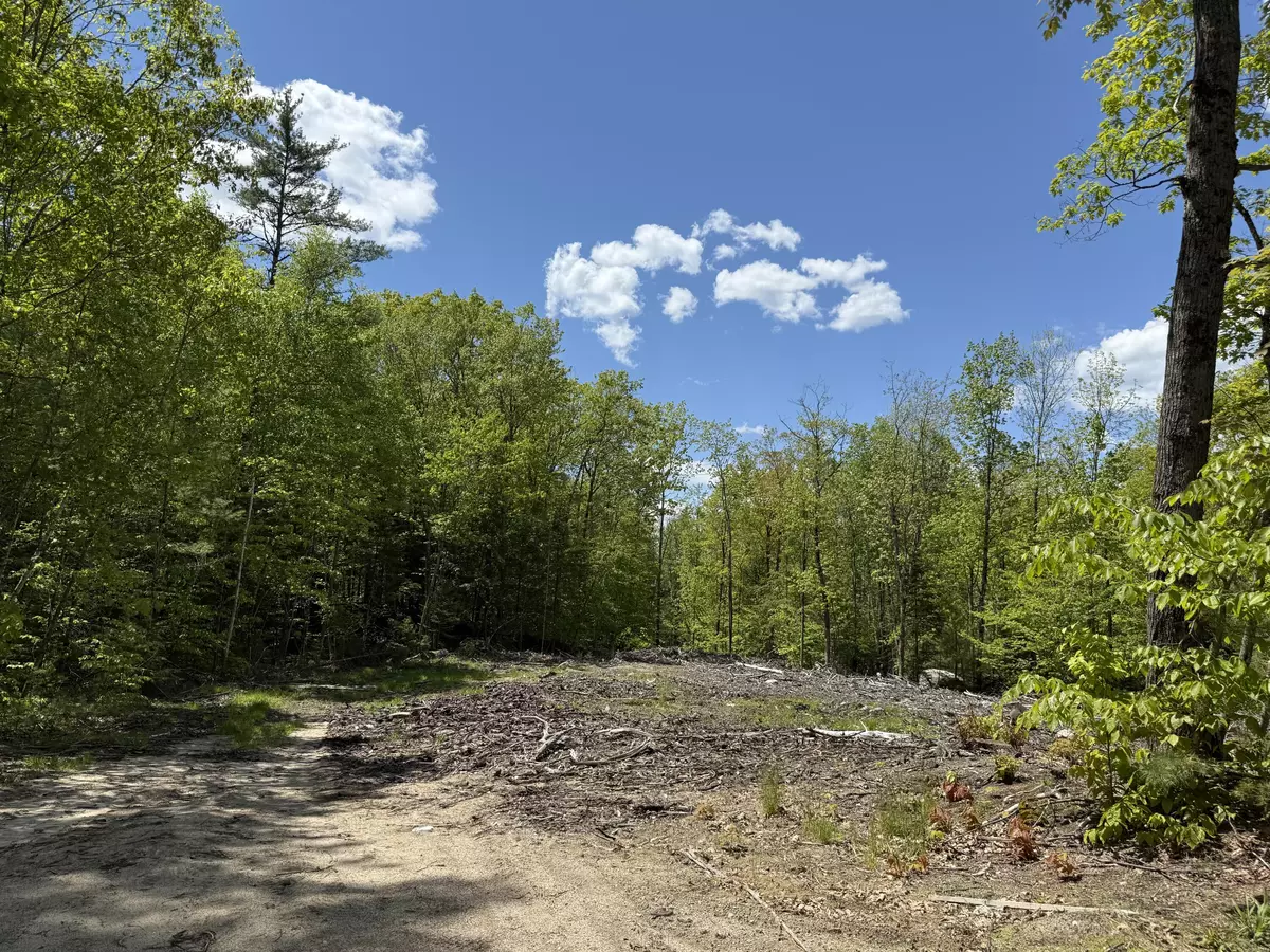 Harrison, ME 04040,Lot 1 Naples RD