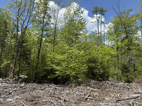 Harrison, ME 04040,Lot 1 Naples RD
