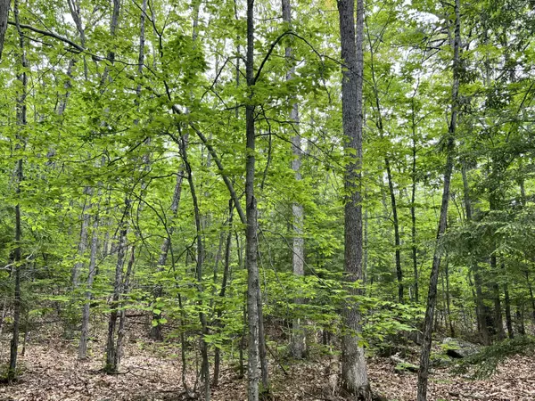 0 Ledgeview HTS, Hiram, ME 04041