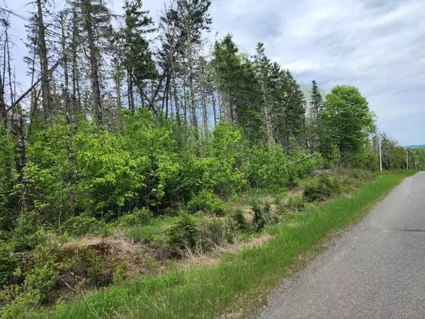 Moro Plt, ME 04765,M 5 L 2-5 Townline RD