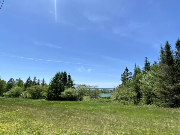 Perry, ME 04667,91 Lincoln Cove RD