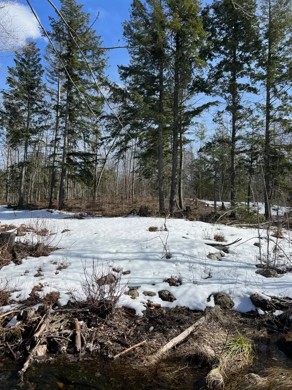 Stoneham, ME 04231,222 Butters Hill RD