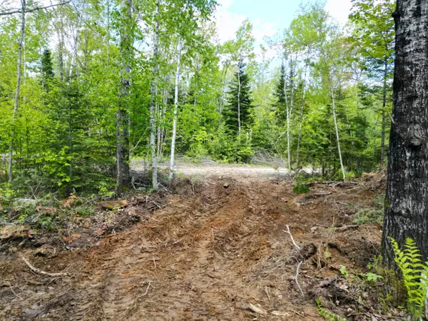 Lot 12-1A Hale Farm RD, Lee, ME 04455