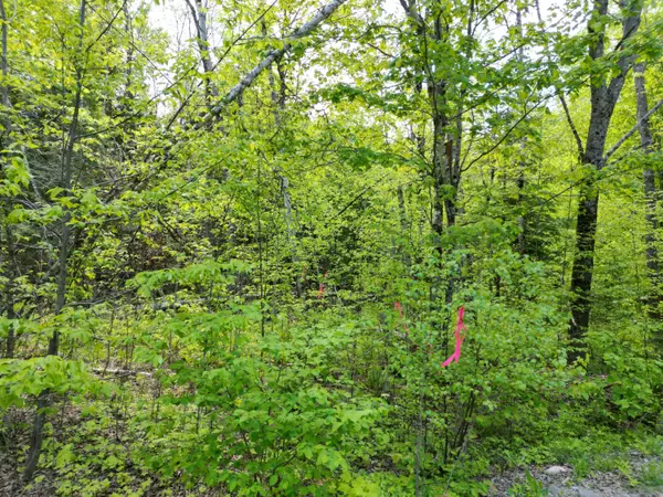 Lee, ME 04455,Lot 12-1A Hale Farm RD
