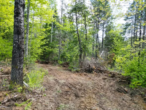 Lee, ME 04455,Lot 12-1A Hale Farm RD