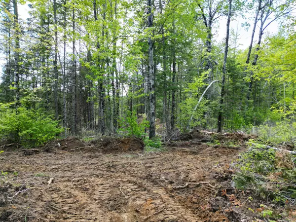 Lee, ME 04455,Lot 12-1A Hale Farm RD