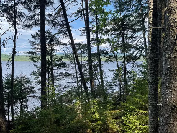 Rangeley Plt, ME 04970,410 Toothaker IS