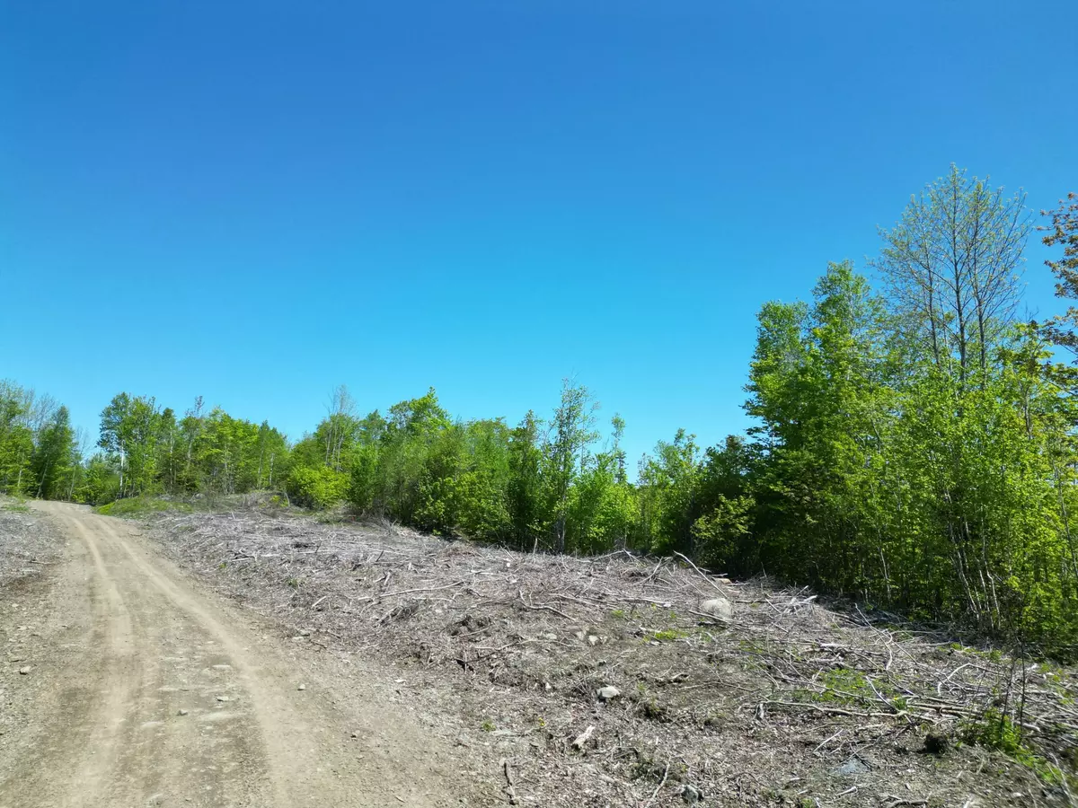 Springfield, ME 04487,Lot 1 Shep Road EXT