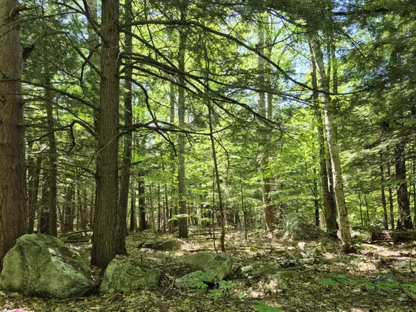 Belgrade, ME 04918,Lot 36D Foster LN