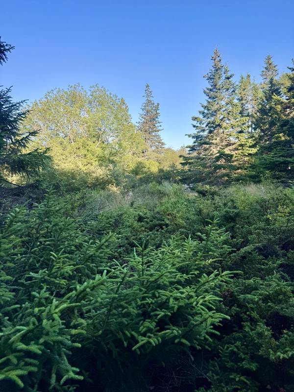 Lot #2 Pequot RD, Vinalhaven, ME 04863