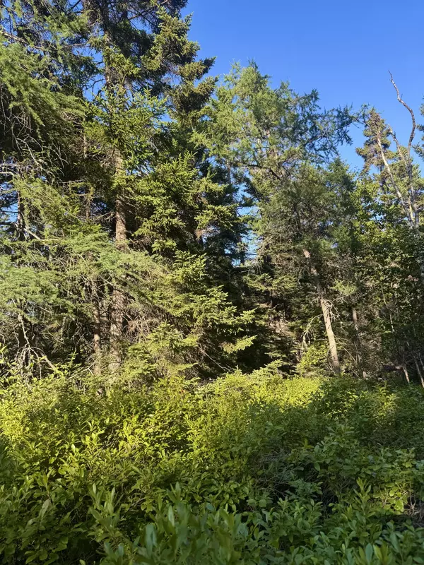Vinalhaven, ME 04863,Lot #2 Pequot RD