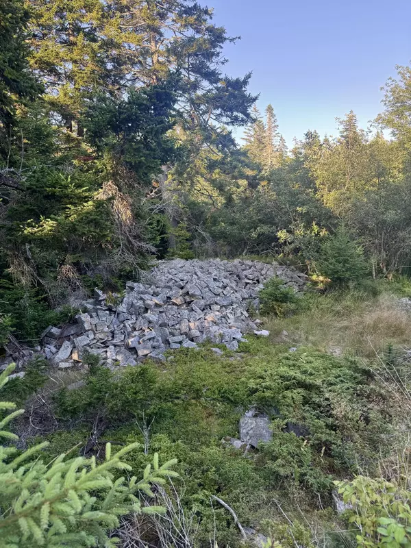 Vinalhaven, ME 04863,Lot #3 Pequot RD