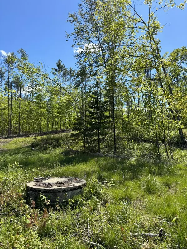 Livermore, ME 04253,21 Turkey Lane LN