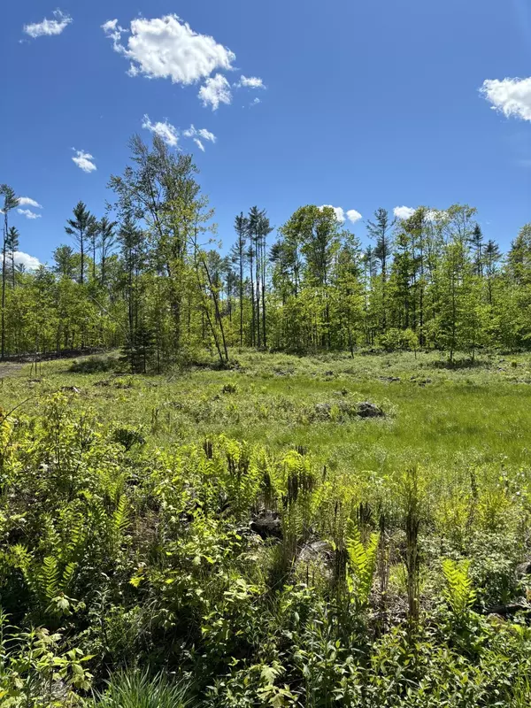 21 Turkey Lane LN, Livermore, ME 04253