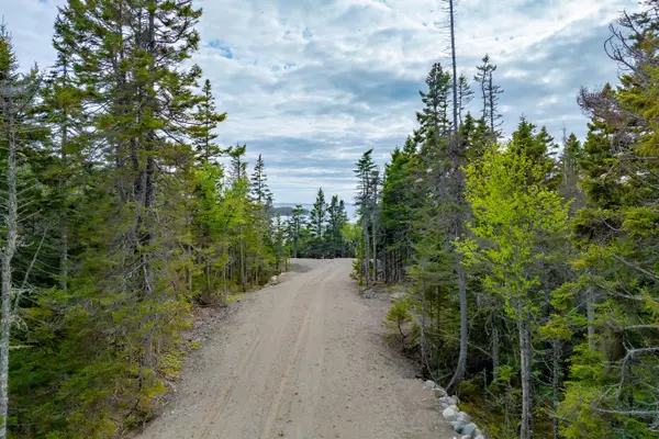 Machiasport, ME 04655,M14 Lot 16 S South Ocean RD