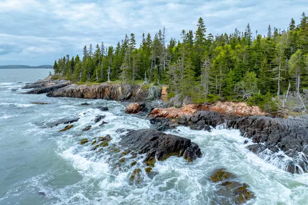 Machiasport, ME 04655,M14 Lot 16 S South Ocean RD