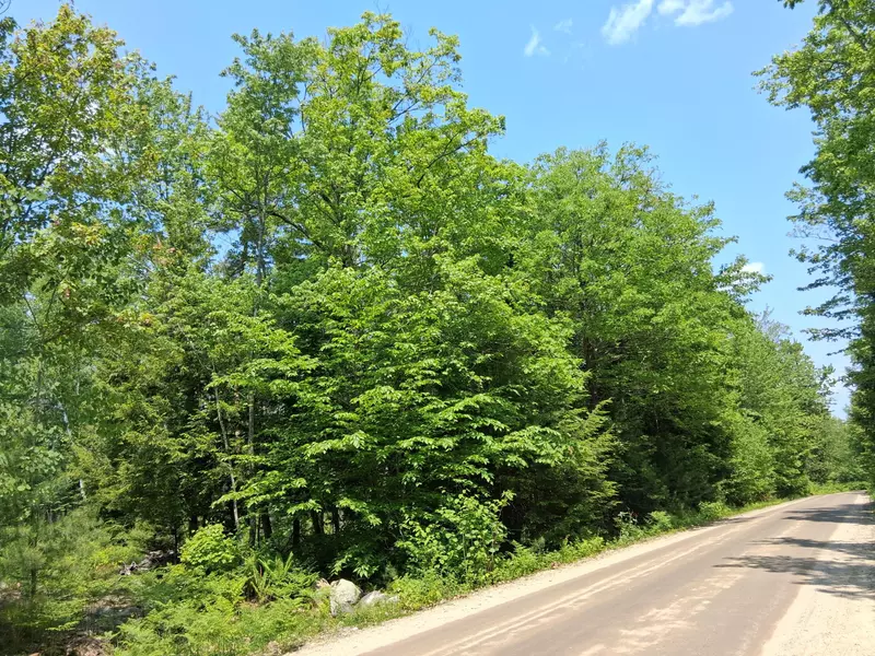 Lot 30 Corner N/S McAllister RD, Otisfield, ME 04270
