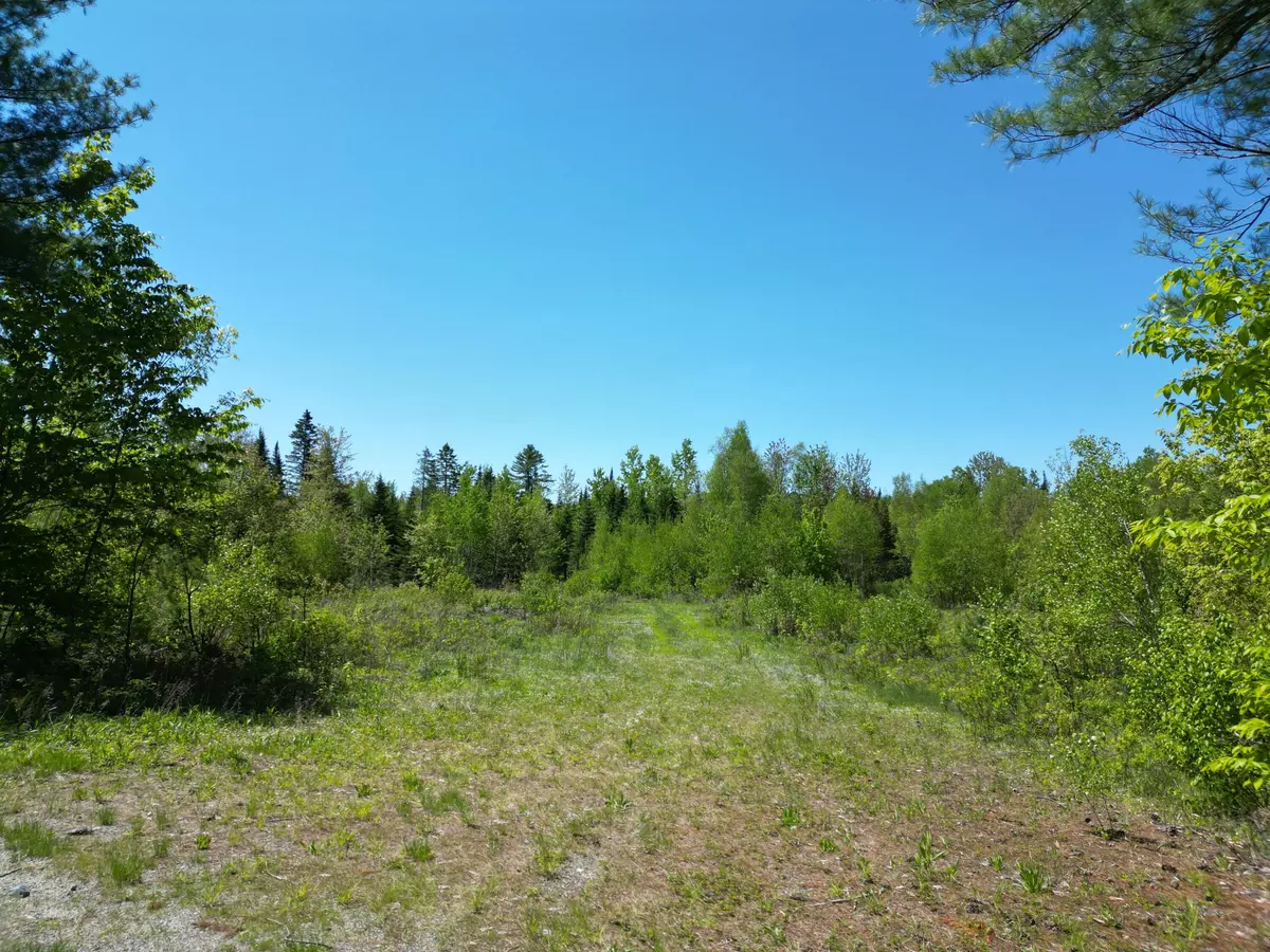 Lowell, ME 04493,Lot 5 Fogg Brook RD