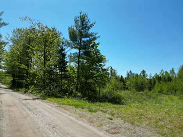Lowell, ME 04493,Lot 5 Fogg Brook RD