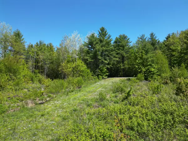 Lowell, ME 04493,Lot 5 Fogg Brook RD